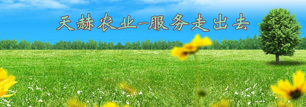 国际项目合作