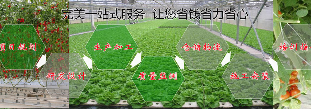 节水灌溉