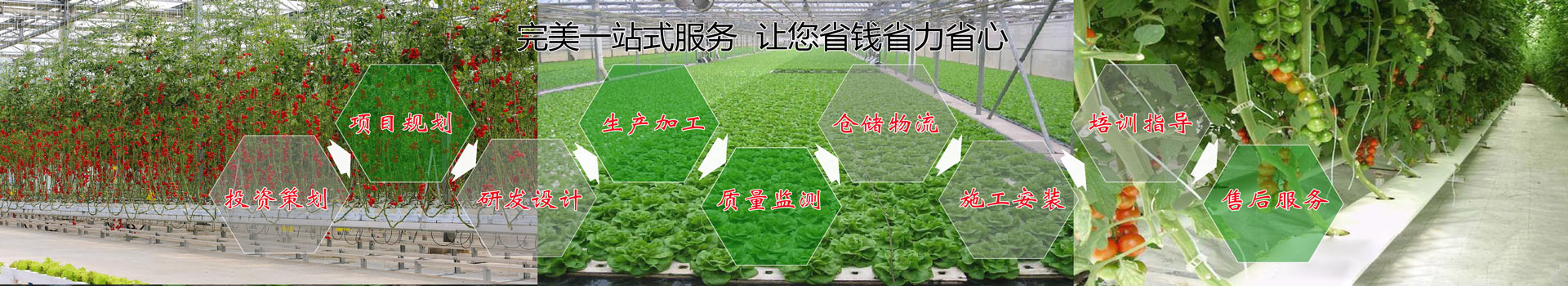 节水灌溉