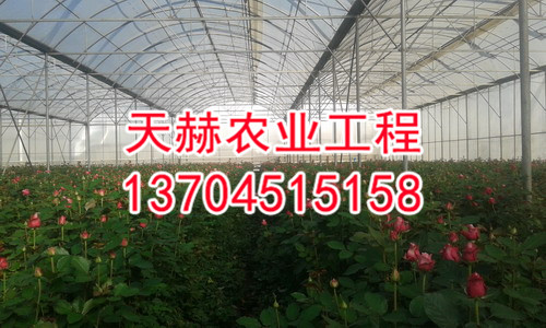 鲜花生产示范园