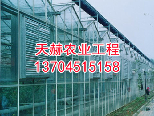 休闲温室
