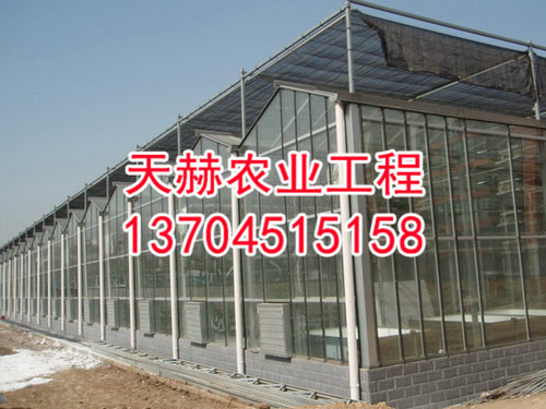 休闲温室