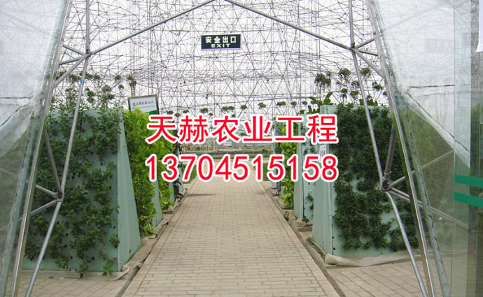鸟巢型温室大门