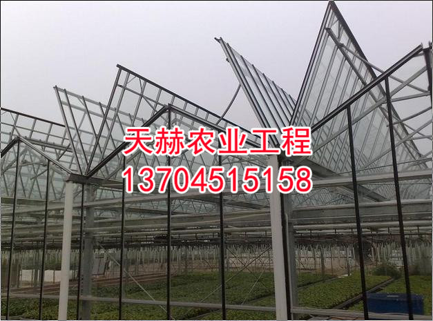 全开顶温室