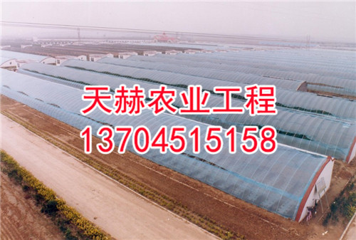 日光温室