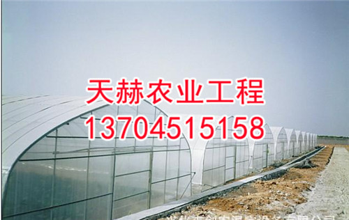 日光温室