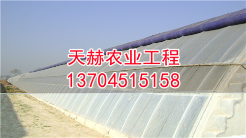 日光温室