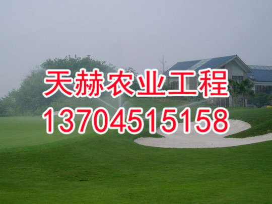 草坪喷灌