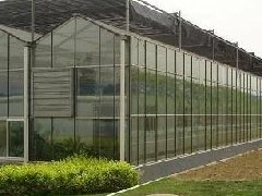 适宜生长在温室的植物