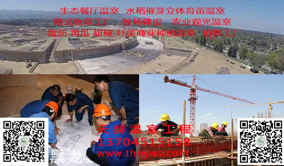 1-1Z514160206.jpg