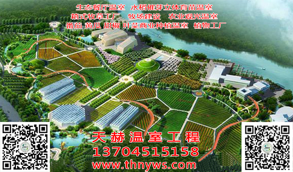 1-1Z514162607.jpg