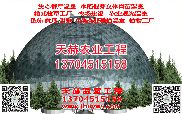 1-1Z515151I5.jpg