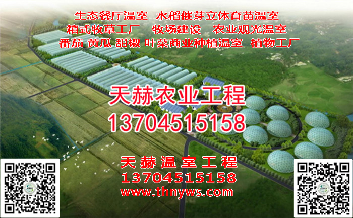1-1Z515151I6.jpg