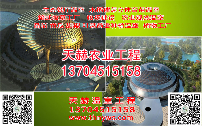 1-1Z515151I7.jpg