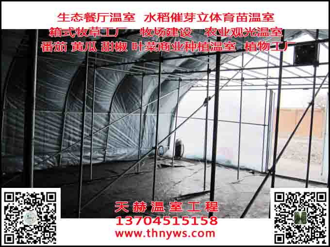 1-1Z520140636.jpg